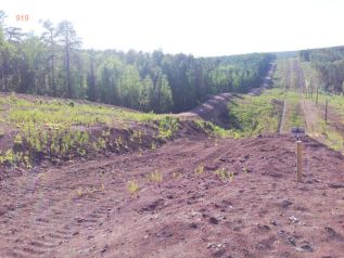 Дороги Ленского района