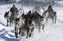 До встречи в Иенгре
