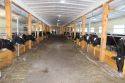 Хозяйства ощутили действие финансового оздоровления