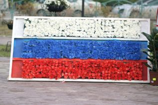 Ярмарка цветов