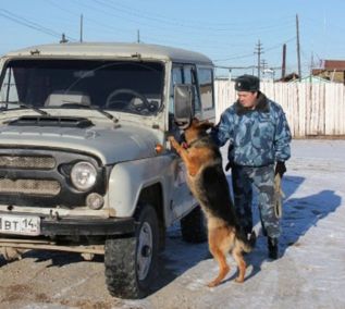 Четырехногие борцы с преступностью