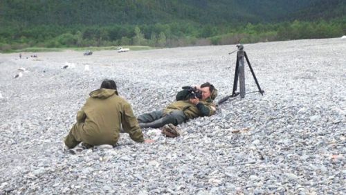 Телетракты