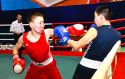 Бои памяти чемпиона