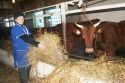 Северным районам помогут с кормами