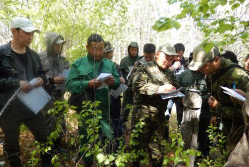 Сделать лес здоровым –  непростая наука