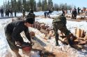 Дровосеки XXI века