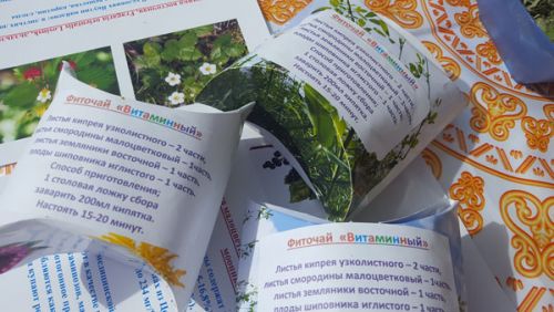 Фиточай защитит от гриппа