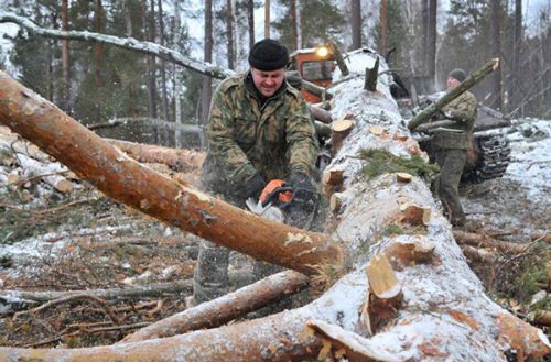 Преступление обнаружили с воздуха
