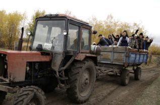 Урожай на фоне эмбарго