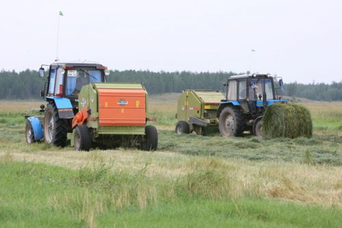 Заготовили с запасом