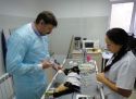 Четвероногие пациенты доктора Зарицкого