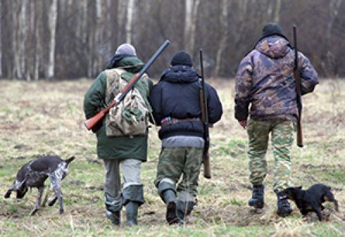 Охота в законе