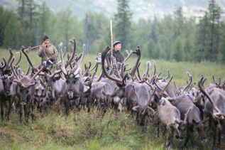 Нижнеколымчане по-прежнему в лидерах
