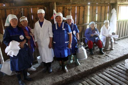 Лучшие дояры живут в Олекме