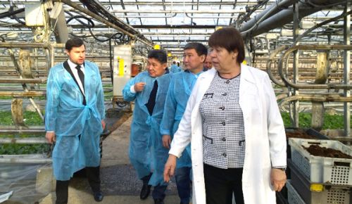 Приамурье предлагает выгодные условия