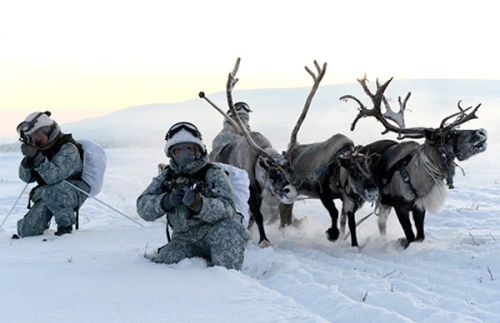 В окопе с оленем