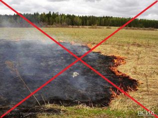 Сельхозпалы под запретом