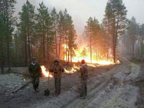 Хроника борьбы