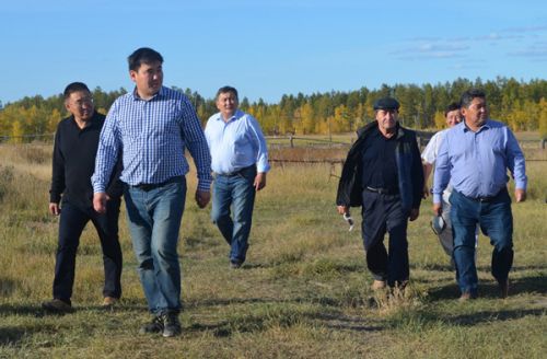 Хангаласцы ищут пути развития мясного животноводства