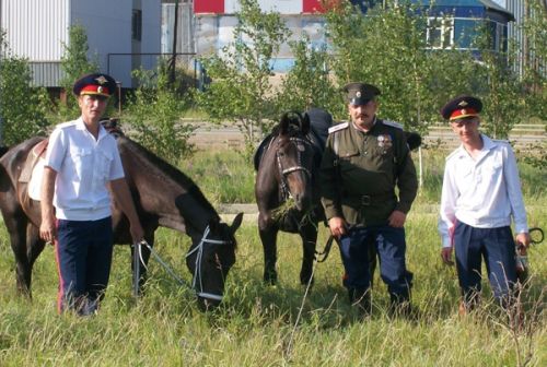 Готовы служить Отечеству