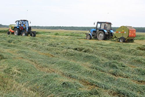 Аграрные «остапы»