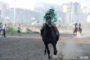 Из-за пожара в конно-спортивном комплексе ЯГСХА скачки  «Кубок Лээги» не отменят