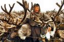 И оленеводу деньги  лишними не будут