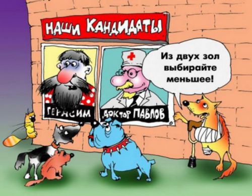 Кто в люди,  кто по судам