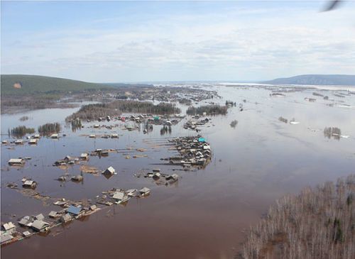 В возбуждении уголовного дела отказано