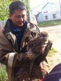 В Якутии хищную птицу спасли из машины