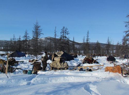 Замерзли насмерть