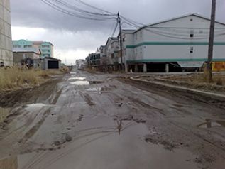 Одна за всех