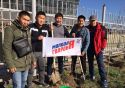 У поликлиники №3 появилась зеленая зона