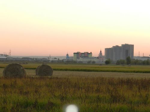 Чем кормить пригородный скот?