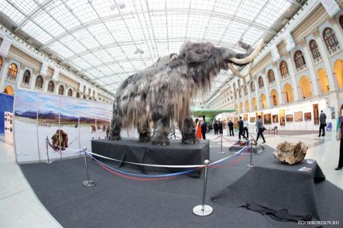 «Нужны результаты, а не приятные воспоминания» 