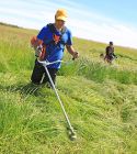 Частники закосили  без указки сверху