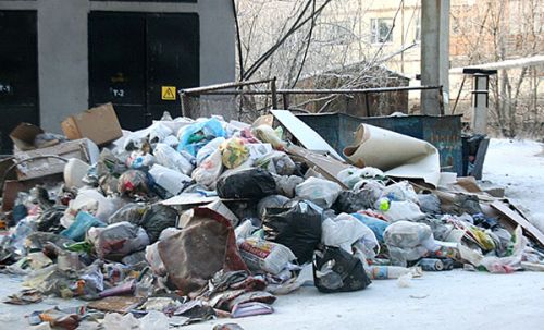 Дело мэрии: свалку убрать!