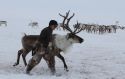 Права коренных народов защитят