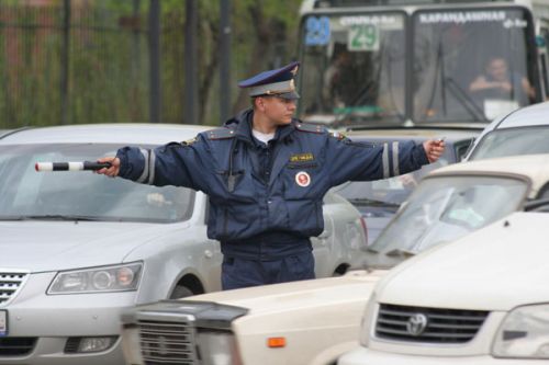 Регулировщик — птица редкая