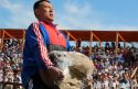 Универсальная дюжина