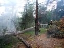 Когда маленький уголек от костра приводит к большой беде