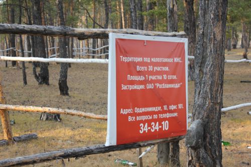 Лес под ИЖС