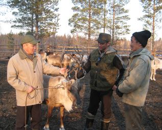 Всегда ли  виноваты волки?