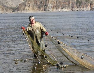Рыбе нужна свежая голова