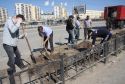 12 тысяч саженцев  на улице Пояркова
