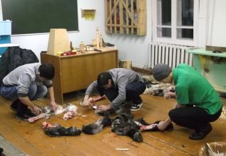 Суматоха в Сутуруохе