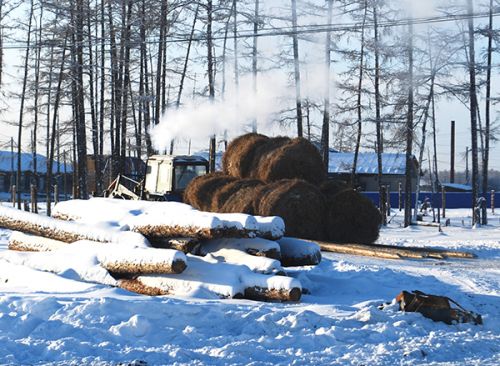Подворье без коровы — нонсенс