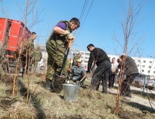 Посади свое дерево!