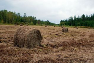 Министерство не дремало 