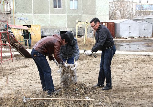 Остров детства в каменных джунглях